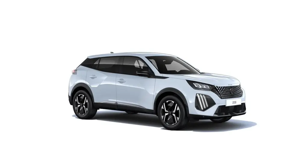 Peugeot 2008, BUSINESS Turbo 100 MAN6